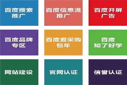 百度推广中SEO优化的成功案例分析